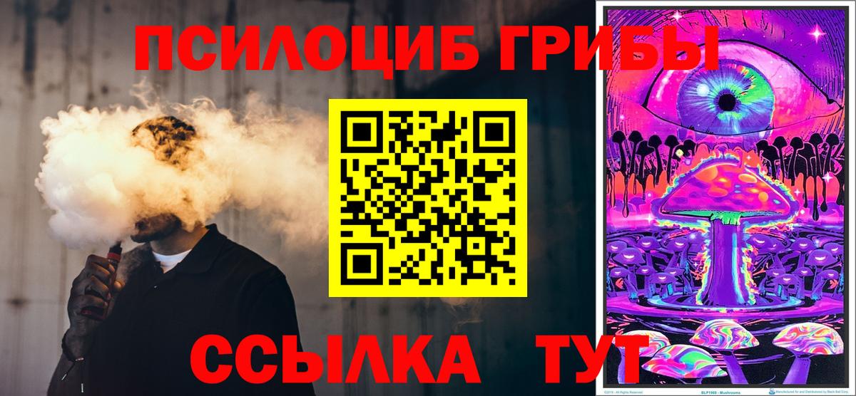 Озёры  Псилоцибиновые грибы MAGIC MUSHROOMS  Вход с VPN  где найти   Псилоцибиновые грибы Psilocybine cubensis 
