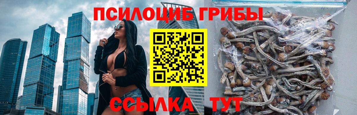 Псилоцибиновые грибы Psilocybine cubensis Озёры
